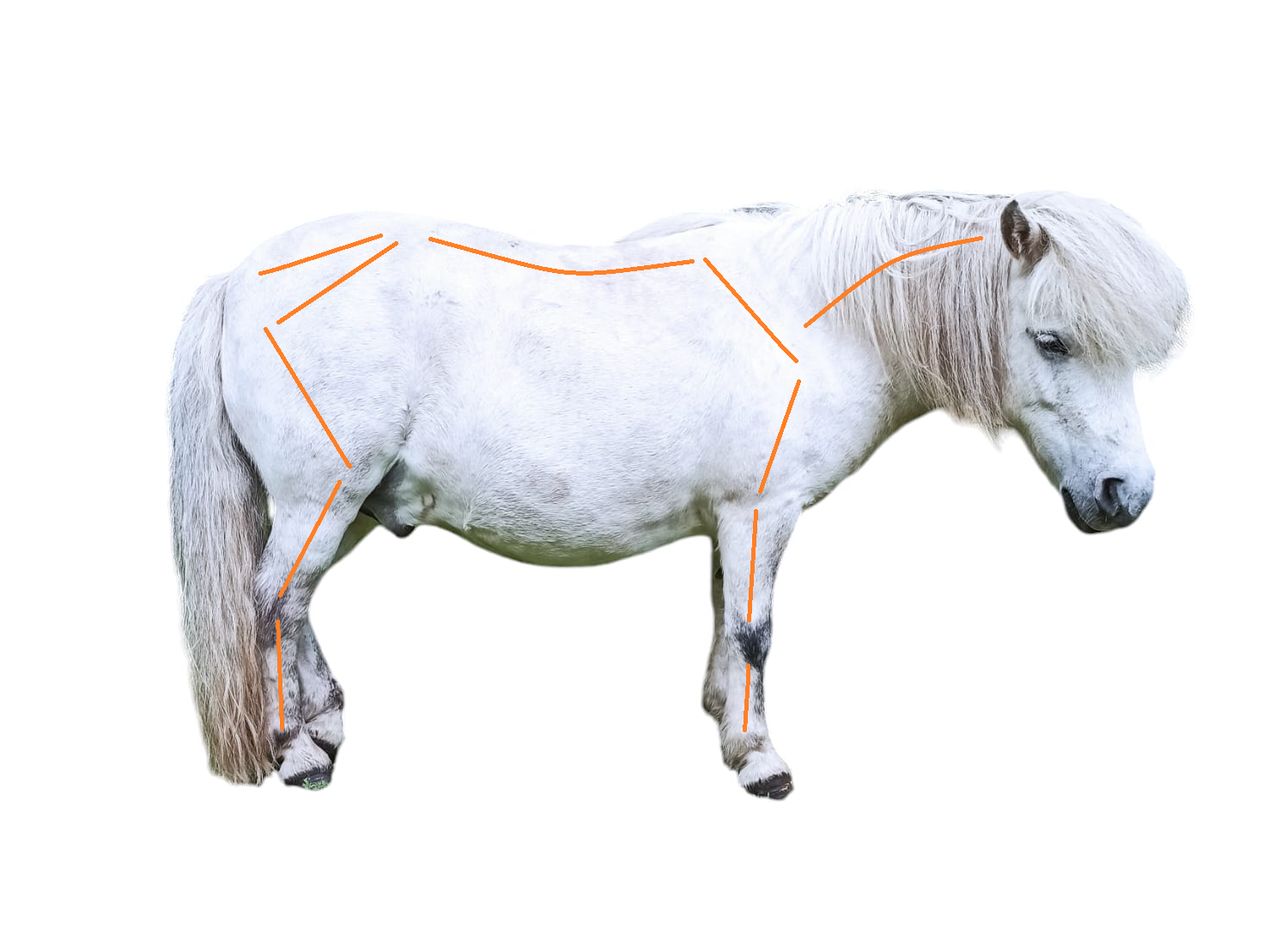 KLOUBY