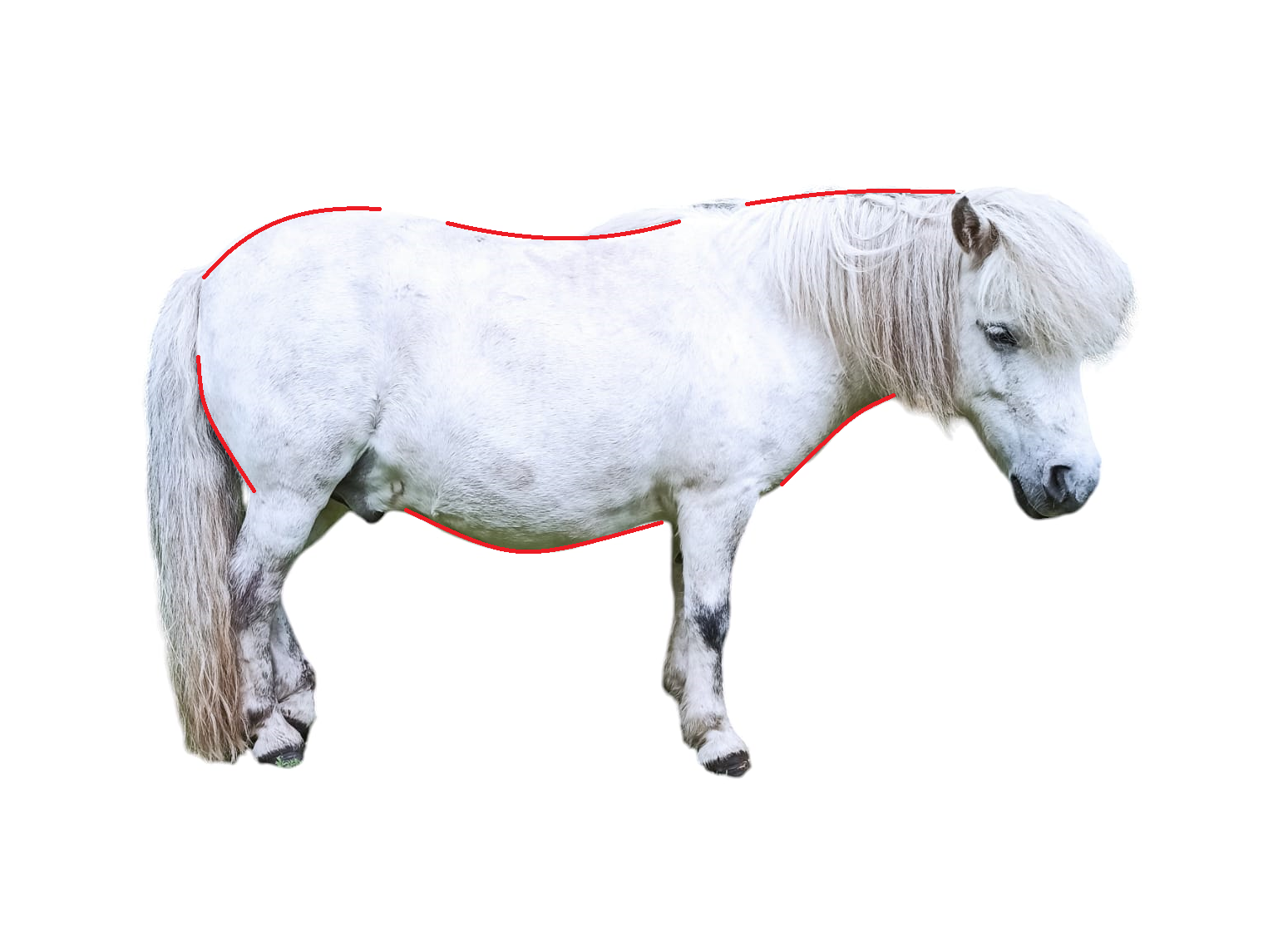 SVALY A NABÍRÁNÍ